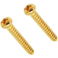 Original String Retainer Screws (2) - AxLabs