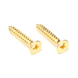 Floyd Rose FRX Nut Mounting Screws