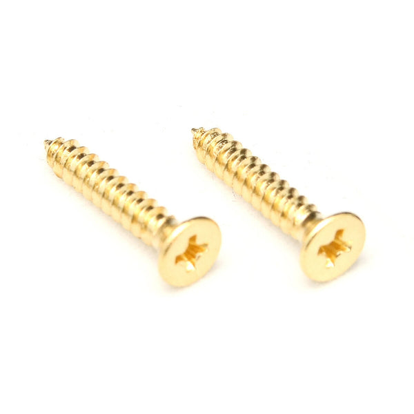 Floyd Rose FRX Nut Mounting Screws | AxLabs